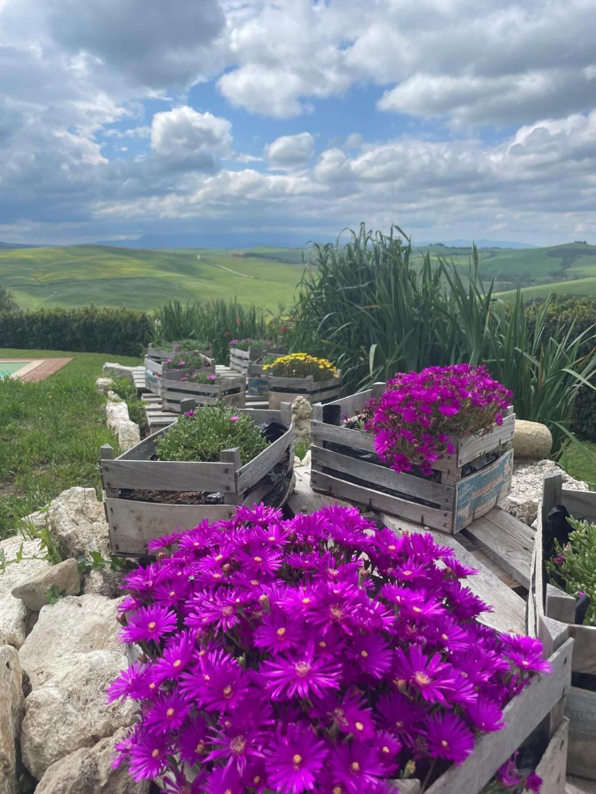 Agriturismo Bombina Villa Montisi Esterno foto